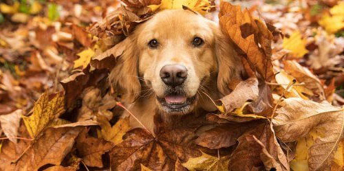 Fall 2025 News & Deals