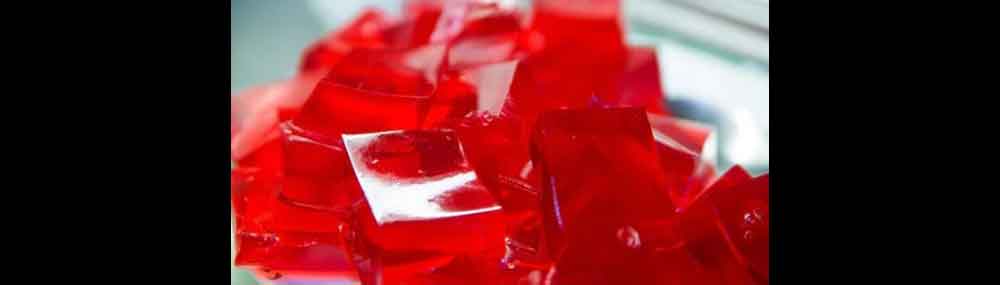Nature’s Ozempic: What the Gelatin Trick Really Does